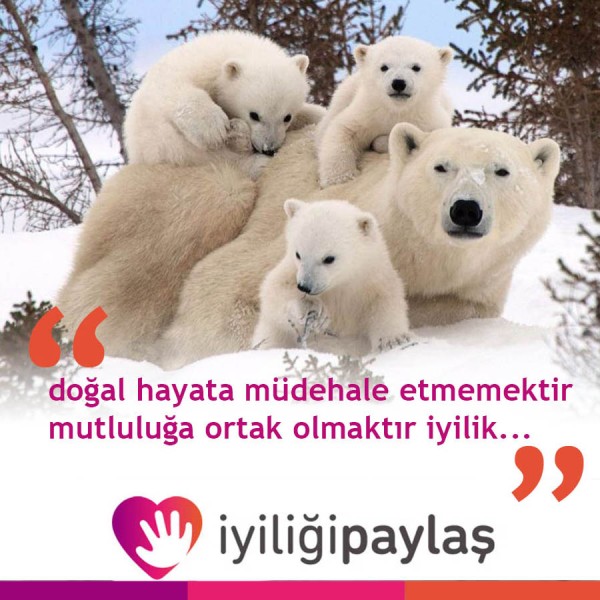 İyiliği Paylaş Projesi